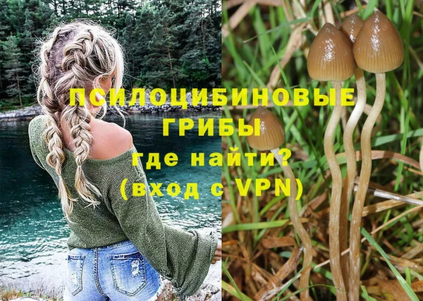 ALPHA PVP Арсеньев