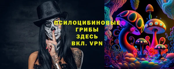 СК Аркадак
