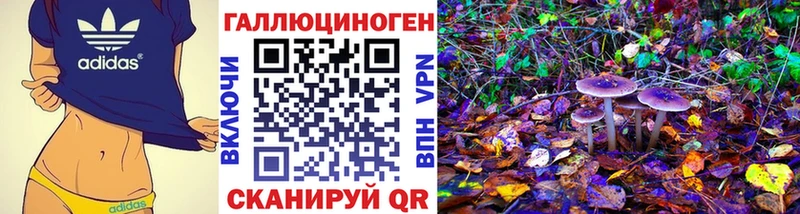 Псилоцибиновые грибы Psilocybe  Волгодонск 