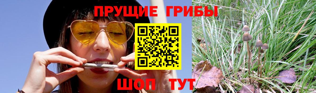 Псилоцибиновые грибы прущие грибы Волгодонск
