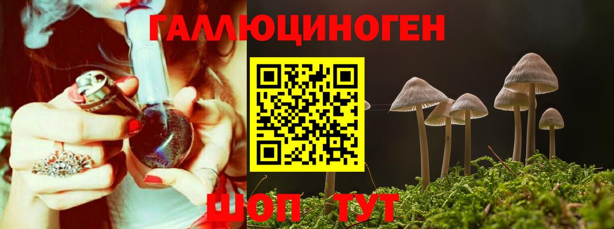Волгодонск  Псилоцибиновые грибы MAGIC MUSHROOMS  Псилоцибиновые грибы Psilocybe  Вход с VPN 